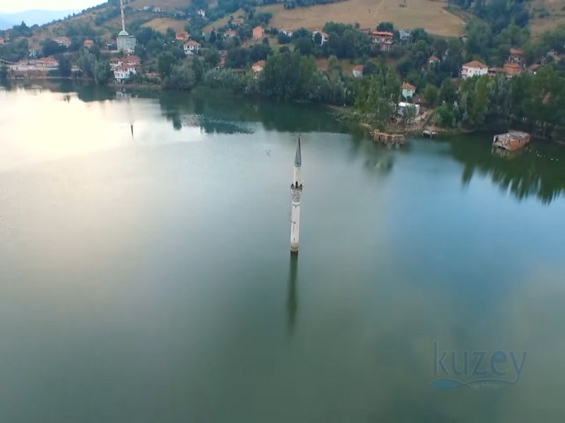 Kuzey Su Ürünleri
