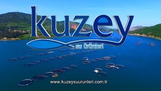 KUZEY SU ÜRÜNLERİ